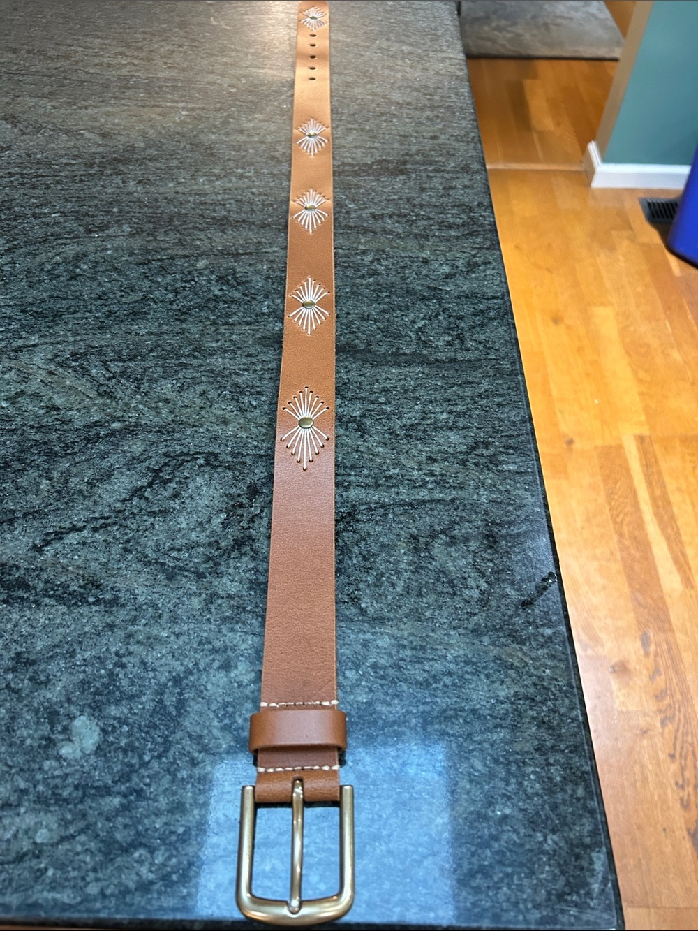 Unisex Brown Leather Stud Accent Belt with Brass Buckle